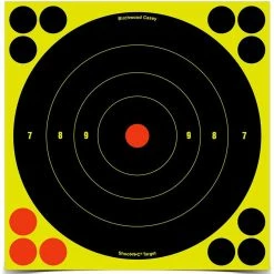 NA Birchwood Casey Shoot-N-C® Bull's Eye Shooting Target, 8-in
