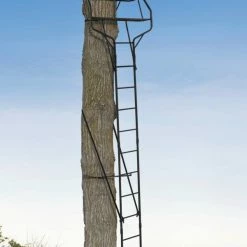 NA-The Wonderful Everyday -NA-The Wonderful Everyday gaurdian xlt 18 ladderstand 81978f10 3ebf 4886 b618 a79a9f4b4fac